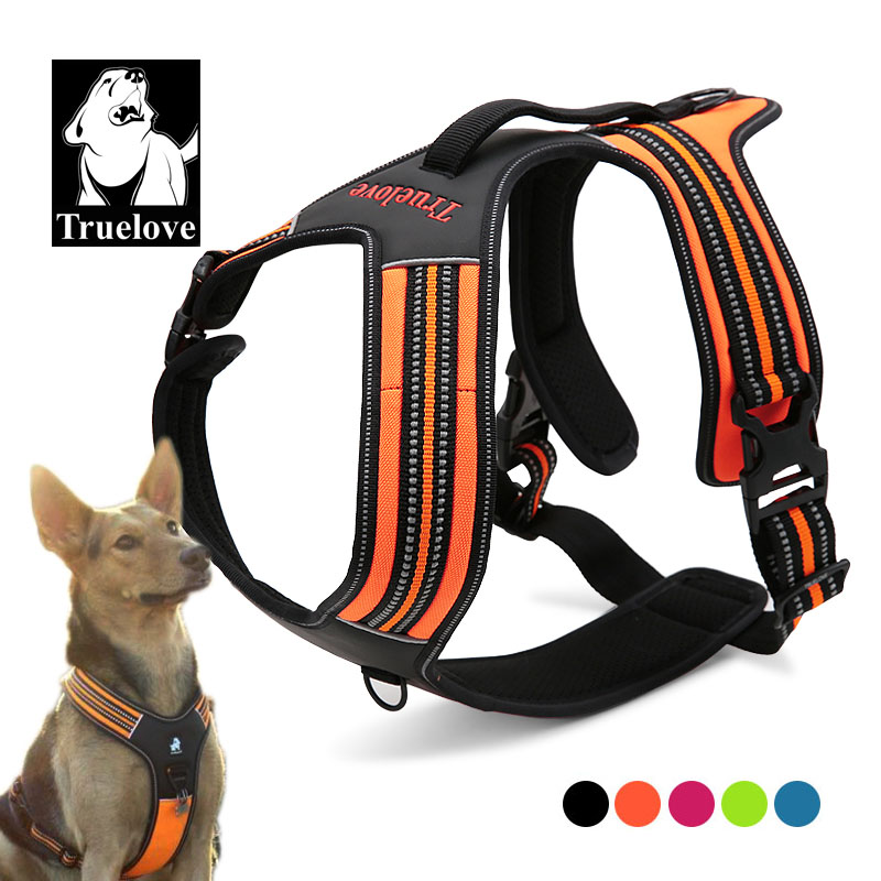 Outdoor Adventure Xl - Truelove Sport Nylon Reflective No Pull